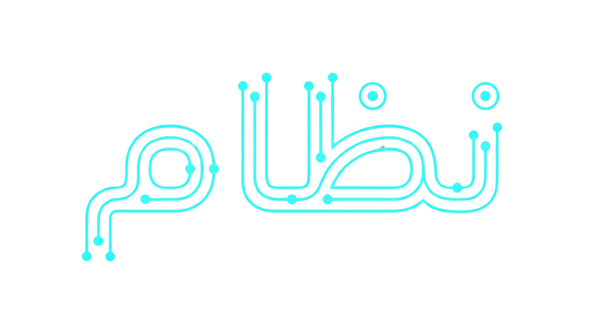 Nizam System